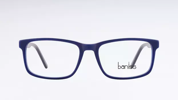 Оправа BANISS BS8029 COL.05