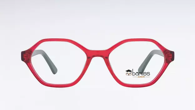 Оправа BANISS BSJ6838 С02