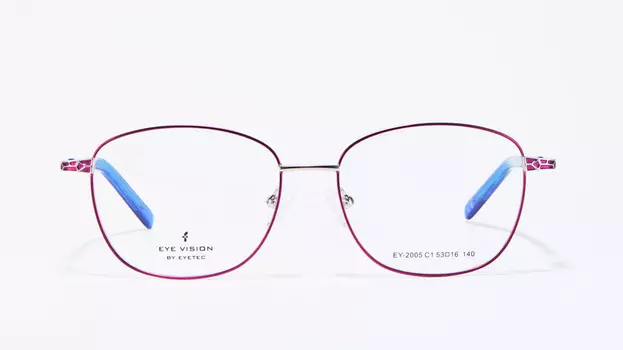 Оправа EYE VISION 2005 C1