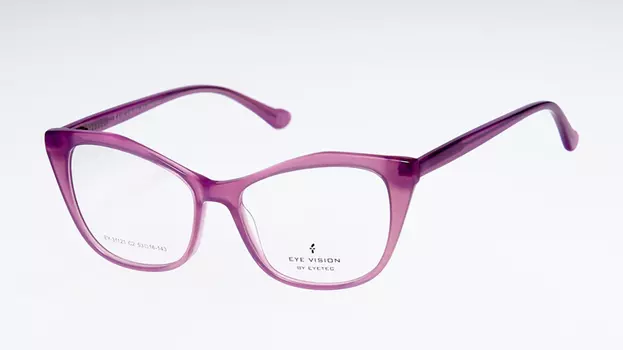 Оправа EYE VISION EY31121 С2