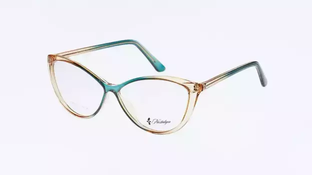 Оправа Nastalgia EY043 C2