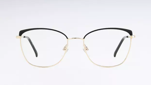 Оправа PIERRE CARDIN P.C. 8879 I46