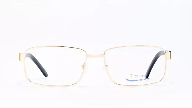 Оправа Ricardo RS-212007 С3