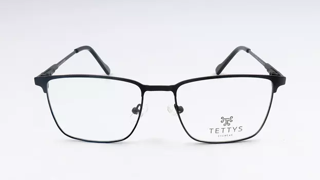 Оправа Tettys 210484 ХС01