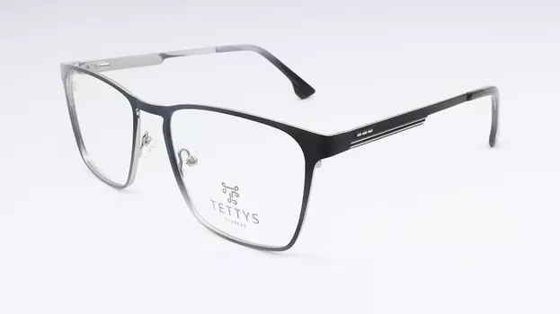 Оправа Tettys 210490 ХС02