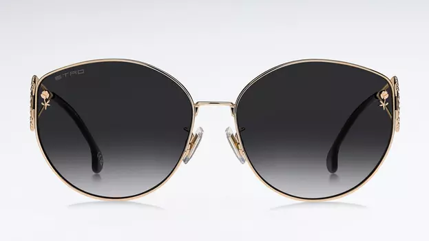 Солнцезащитные очки ETRO ETRO 0072/F/S 000