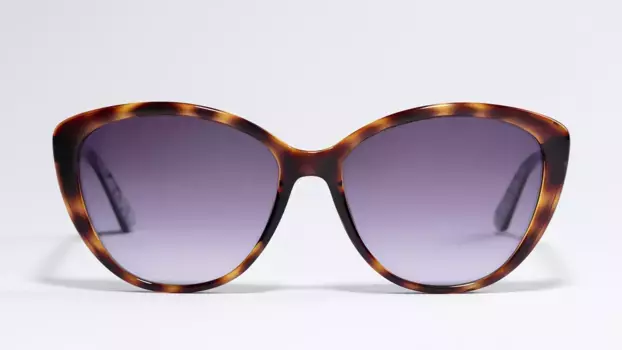 Солнцезащитные очки TED BAKER JAZZ 1537 122