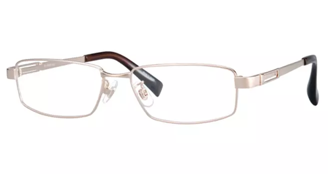 Оправа RODENSTOCK 2240 B