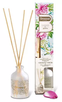 Диффузор ароматический Breesal Aromа Sphere Свежесть чувств 40мл