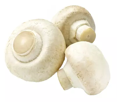 Грибы шампиньоны кг
