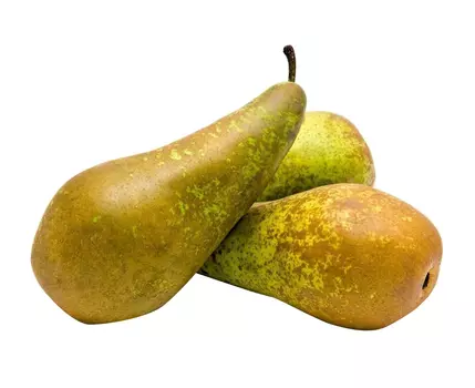 Груша Конференс кг