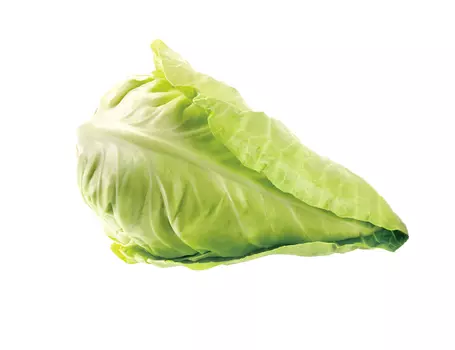 Капуста коническая кг