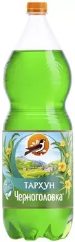 Лимонад Напитки из Черноголовки Тархун б/алк газ 2л пэт
