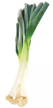 Лук порей кг