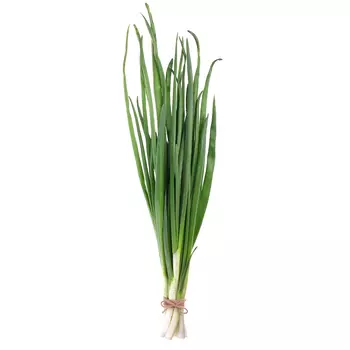 Лук зеленый 150г упак