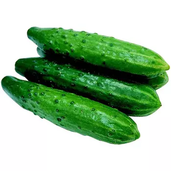 Огурцы среднеплодные колючие тепличные кг