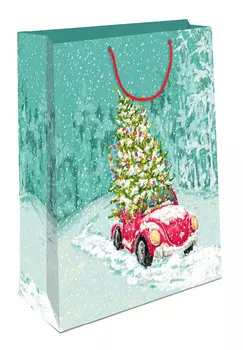 Пакет подарочный Арт и Дизайн ламинированный AA НГ 33х42,5см