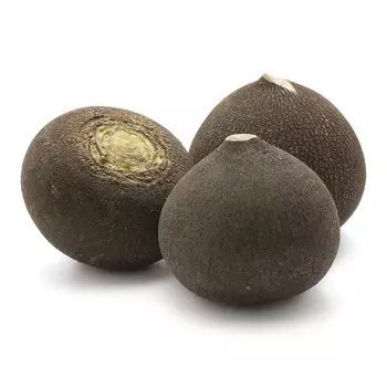 Редька черная кг