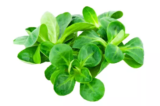 Салат корн 125г