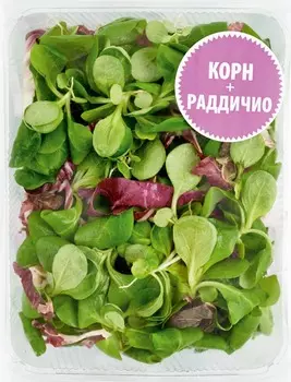 Салат Корн/Раддичио 125г