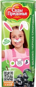 Сок Сады Придонья яблоко/смородина с 5мес 200мл т/п