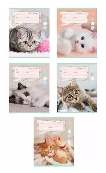 Тетрадь линия 24л.сонные котята 24-4281 цвет мелов обл 5 дизайнов в спайке