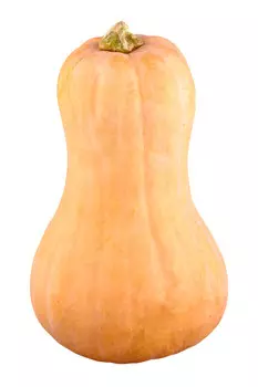 Тыква Баттернат кг