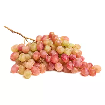 Виноград Тайфи кг