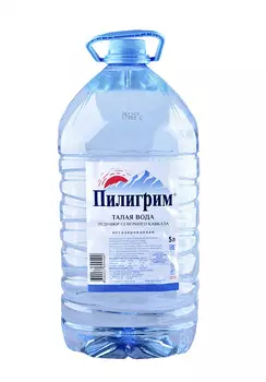 Вода Пилигрим пит.негаз.5л ПЭТ