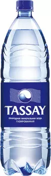 Вода питьевая TASSAY газ 1,5л пэт