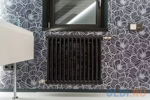 016Радиатор TESI 30565/10 CL.10 (RAL9005 черный) Т30