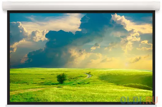 [10103543] Экран Projecta Elpro Concept 216x340 см (153") Matte White (с черн.каймой) с эл/приводом 16:10