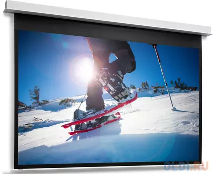 [10104767] Экран Projecta DescenderPro 162х280см (раб.обл. 152х270 см) (122") Matte White с эл/приводом 16:9