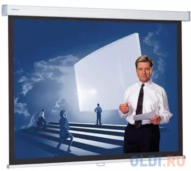 [10200315] Экран Projecta Proscreen CSR 154x240 см (112") Datalux настенный рулонный 16:10