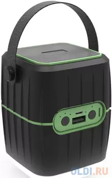 Колонки RITMIX RPB-8800LT black+green (8800 мАч,зашита IP65, 3 режима фонаря,USB)