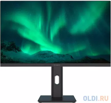 23.8 Raskat I24F10DAP (23.8, IPS, 1920*180, VGA+HDMI+DP, 4ms, 178°/178°, 1000:1, 100Hz, Pivot, Black)