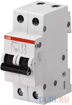 ABB 2CDS242001R0104 Автоматич.выкл-ль 2-пол. SH202L C10