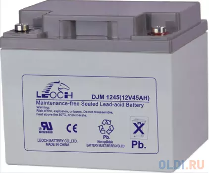 Аккумулятор LEOCH DJM1245