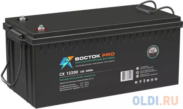 Аккумуляторная батарея Delta (ВОСТОК СХ) СХ 12200 12В/200Ач, клемма Болт М8 (522х238х218мм (223мм); 58кг; Срок службы 10