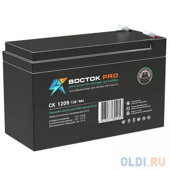Аккумуляторная батарея ВОСТОК СК 1209 12V9Ah