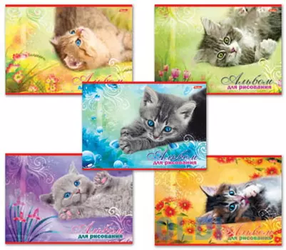 Альбом для рисования, А4, 20 л., обложка картон, HATBER "Котята", 20А4В, A17357
