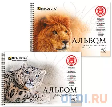 Альбом для рисования, А4, 40 л., гребень, обложка картон, BRAUBERG "Благородные кошки", 102831