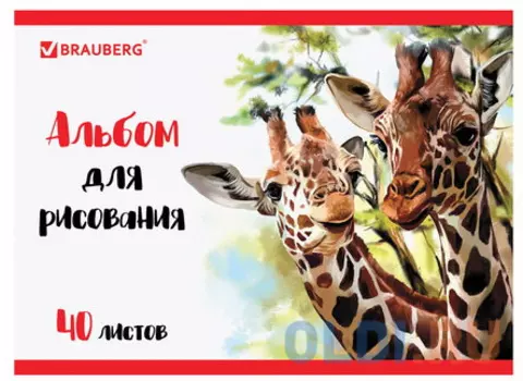 Альбом для рисования, А4, 40 л., гребень, обложка картон, BRAUBERG ЭКО, "Жирафы", 105104