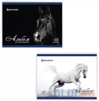 Альбом для рисования BRAUBERG Благородные кони A4 40 листов