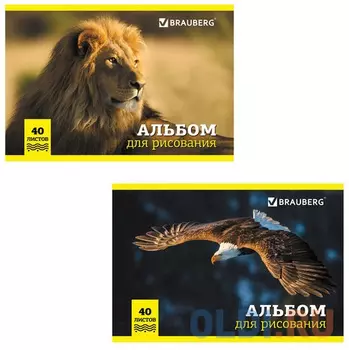 Альбом для рисования BRAUBERG Дикие животные A4 40 листов