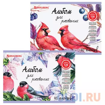 Альбом для рисования BRAUBERG Птицы A4 40 листов