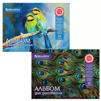 Альбом для рисования BRAUBERG "Райские птички" A4 40 листов