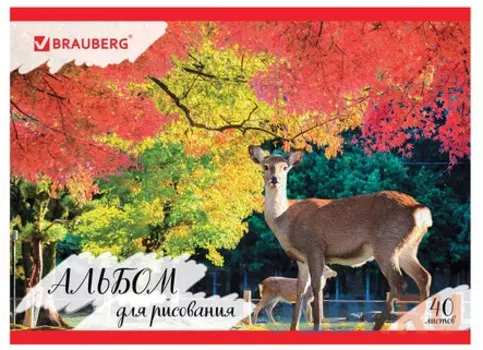 Альбом для рисования BRAUBERG Таинственный лес A4 40 листов