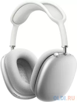 Apple Headphone / наушники AirPods Max MGYJ3ZA/A, silver,