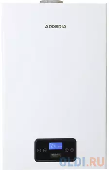 Arderia Настенный газовый котёл SB24